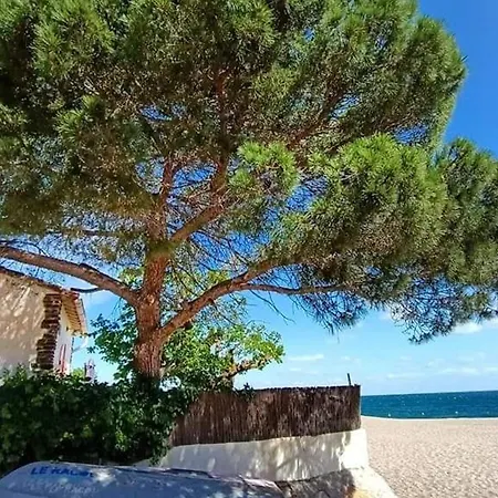Renove Avec Piscine Et Tennis, A 500m De La Plage, Pour 4 Pers, A - Fr-1-776-106 Argeles-sur-Mer