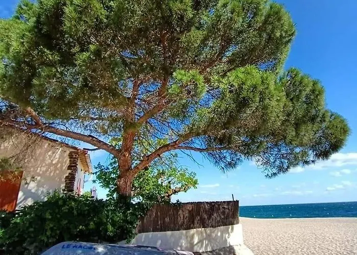 Renove Avec Piscine Et Tennis, A 500m De La Plage, Pour 4 Pers, A - Fr-1-776-106 Argelès-sur-Mer
